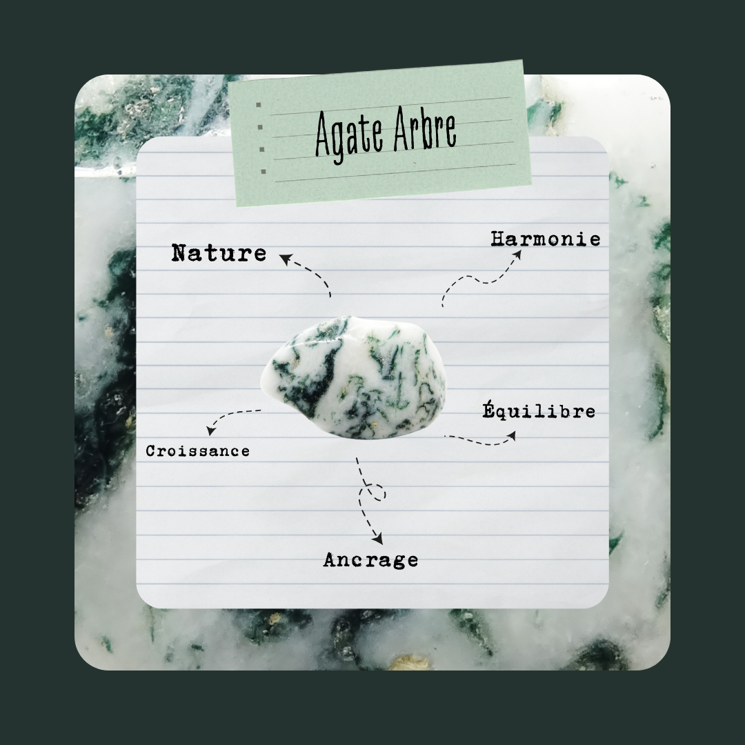 Agate Arbre | Pierre roulée Naturelle - Secrets Lunaires