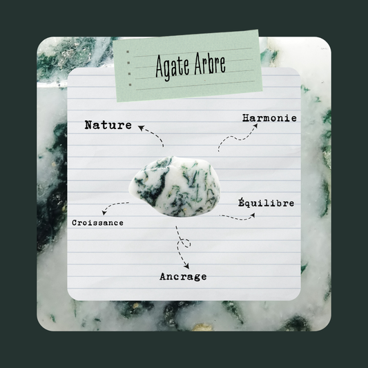 Agate Arbre | Pierre roulée Naturelle - Secrets Lunaires