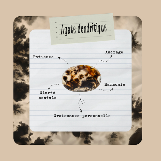Agate Dendritique (Merlinite) | Pierre Plate Naturelle - Secrets Lunaires