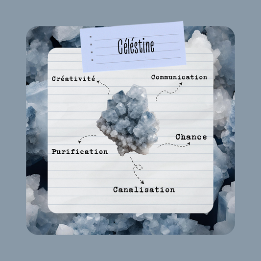 Célestine | Druse (Amas de cristaux) - Secrets Lunaires