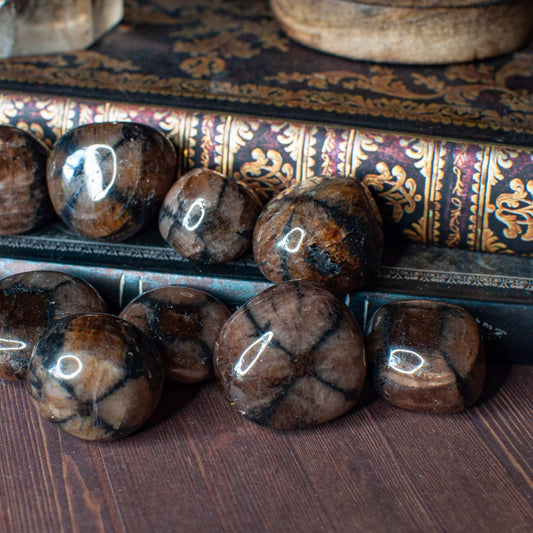 Chiastolite | Pierre roulée