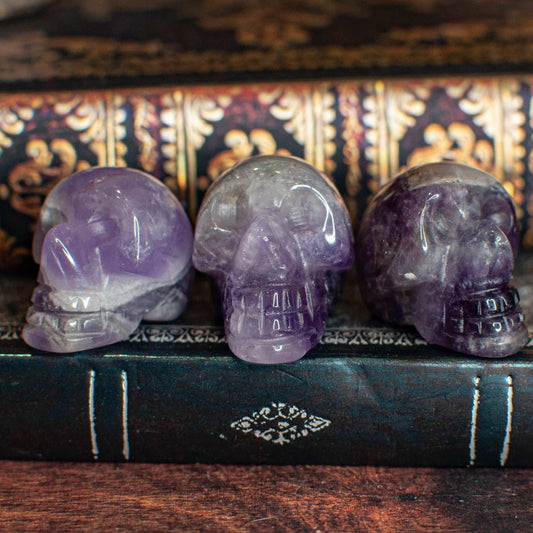 Crâne - Améthyste