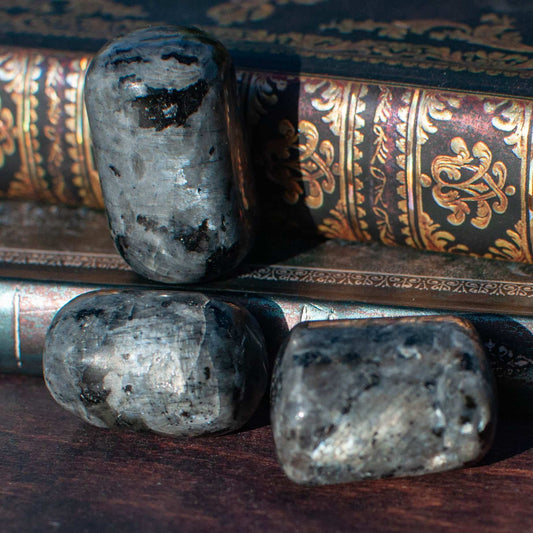 Larvikite | Pierre roulée