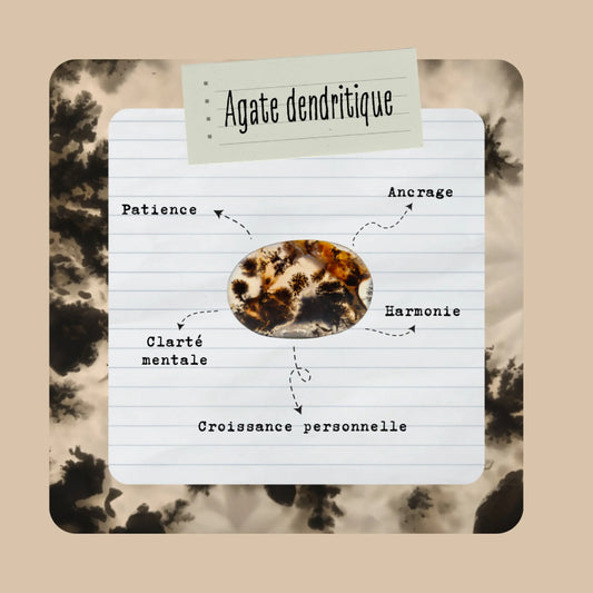 Agate Dendritique (Merlinite) | Pierre Plate Naturelle