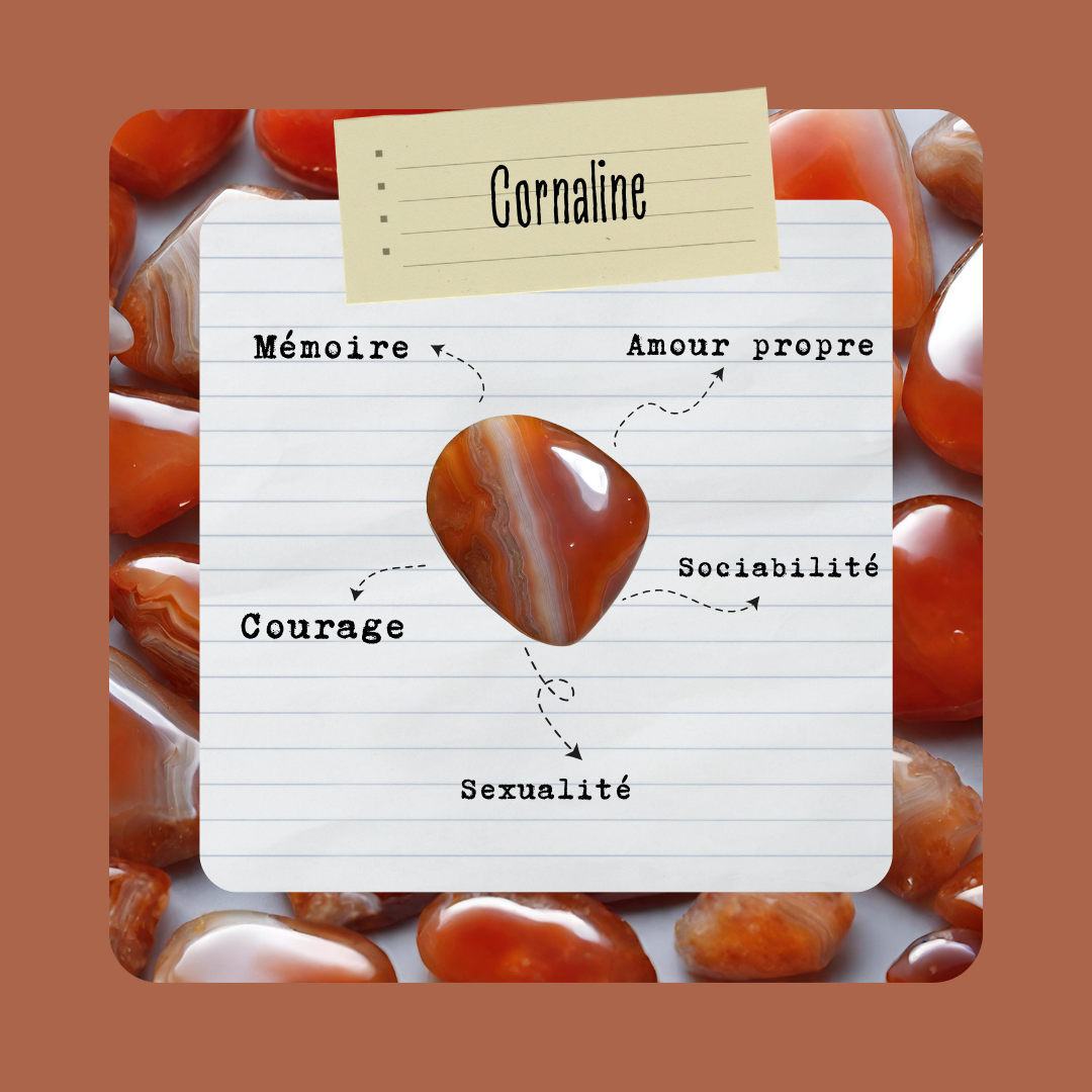 Cornaline | Pierre roulée - Secrets Lunaires