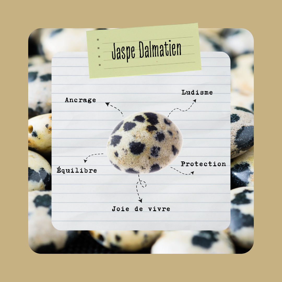 Jaspe Dalmatien